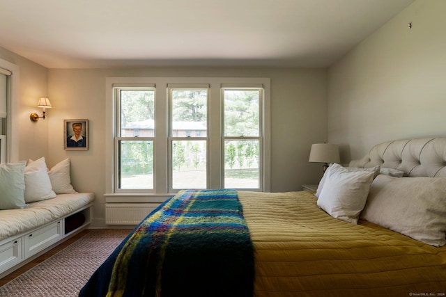 bedroom featuring multiple windows, radiator heating unit, and wood-type flooring