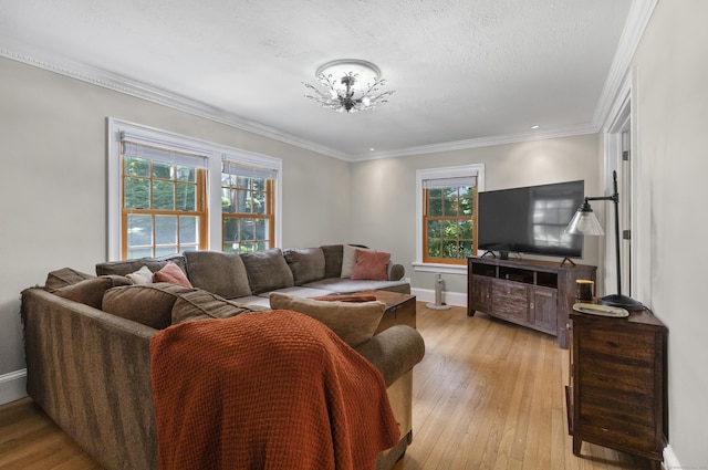 living room with light hardwood / wood-style flooring, ornamental molding, and a textured ceiling