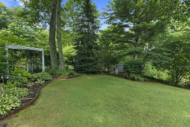 view of yard featuring a storage shed