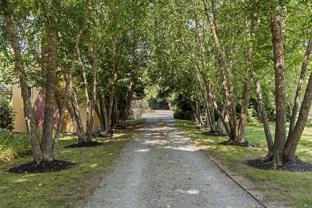 view of road