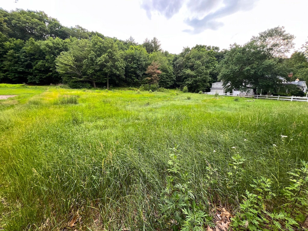 view of yard with a rural view