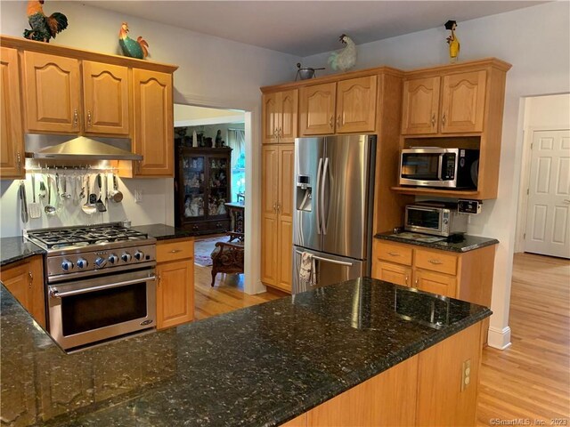 kitchen featuring dark stone countertops, light wood-type flooring, and stainless steel appliances