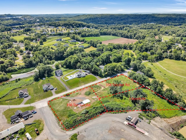 356 Totoket Rd, North Branford, CT 06472 - aerial view of property and surrounding area featuring property boundaries highlighted