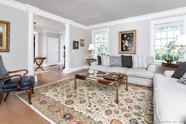 living room featuring crown molding, decorative columns, and hardwood / wood-style flooring