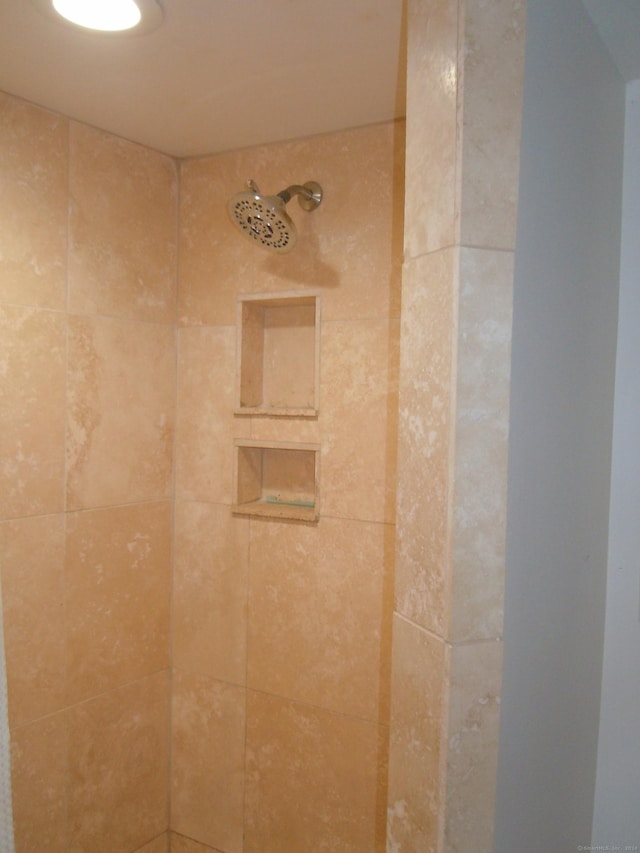 room details with a tile shower