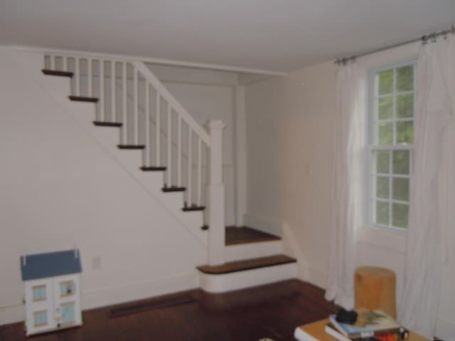 stairway featuring wood-type flooring