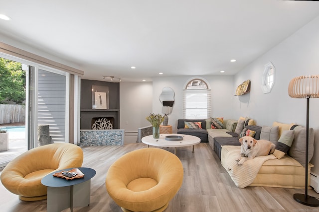 living room featuring wood-type flooring