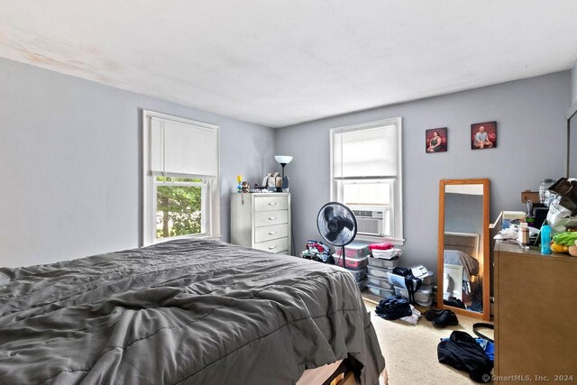 210 Brewer St, East Hartford, CT 06118 - photo 12