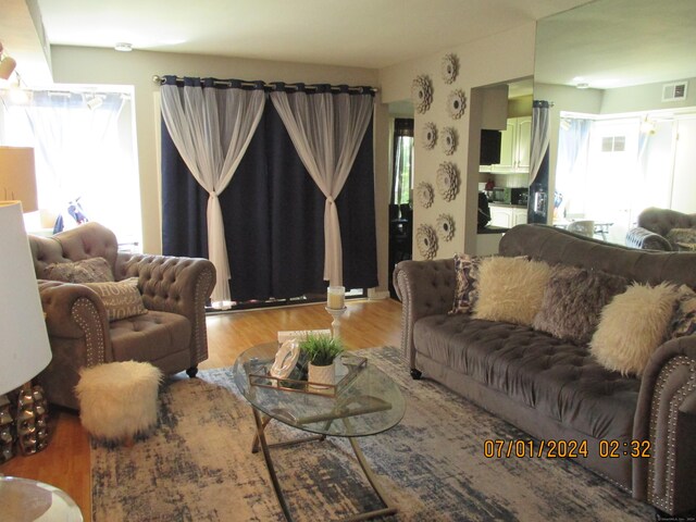 living room with hardwood / wood-style floors