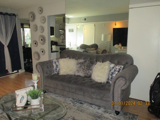 living room with hardwood / wood-style floors