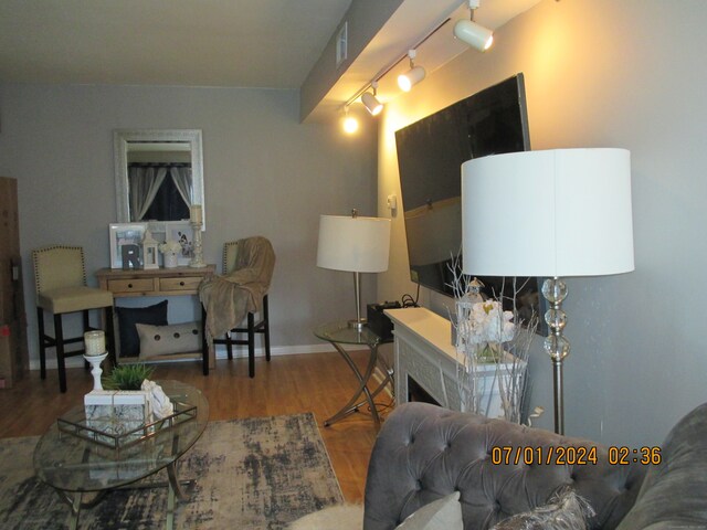 living room with hardwood / wood-style flooring and rail lighting