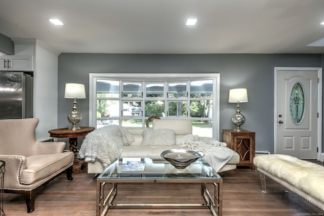 living room with a baseboard heating unit and dark hardwood / wood-style floors