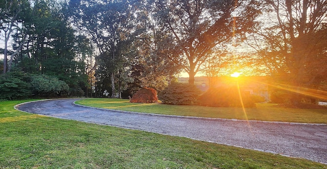 surrounding community featuring a lawn and driveway