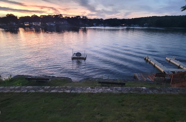 water view featuring a boat dock