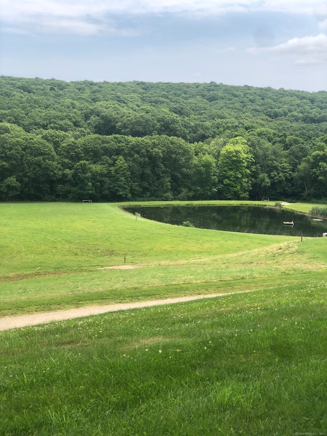 view of property's community with a water view and a yard