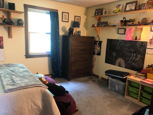 bedroom featuring carpet and multiple windows