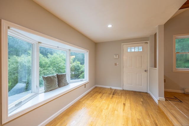 foyer with light wood-type flooring and a wealth of natural light