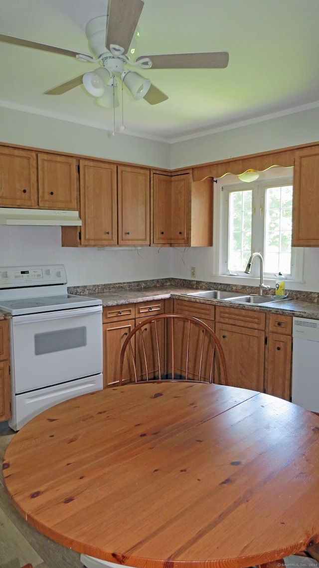 kitchen featuring sink, butcher block countertops, ceiling fan, and white appliances