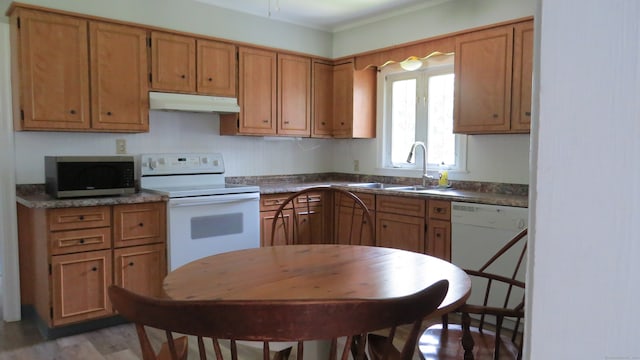 kitchen with light hardwood / wood-style floors, white appliances, and sink