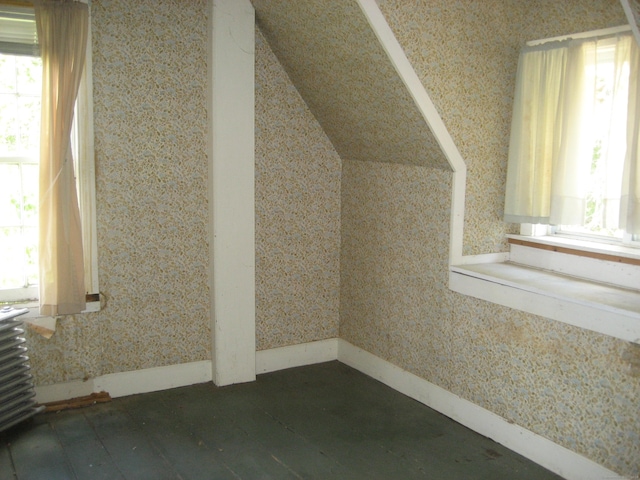 additional living space featuring a wealth of natural light and lofted ceiling