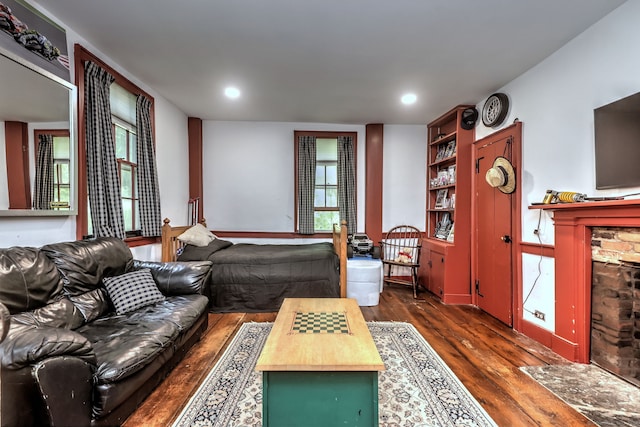 living room featuring dark wood-type flooring