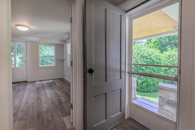 entryway with dark wood-type flooring and a healthy amount of sunlight