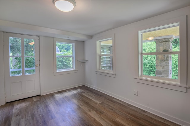 entryway with dark wood-type flooring