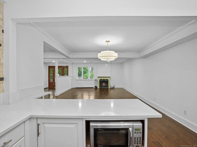 254 W Ave, Darien, CT 06820 - kitchen with stainless steel microwave, open floor plan, a lit fireplace, dark wood-type flooring, and ornamental molding