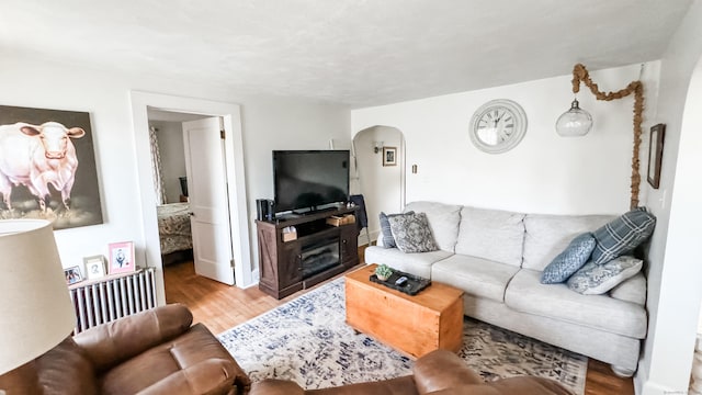 living room featuring wood-type flooring