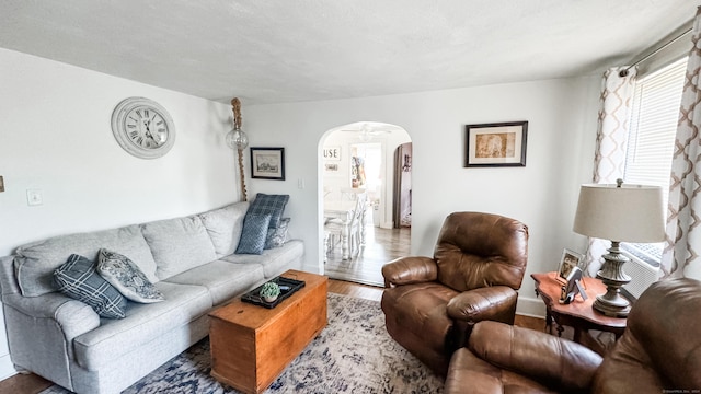 living room featuring hardwood / wood-style floors