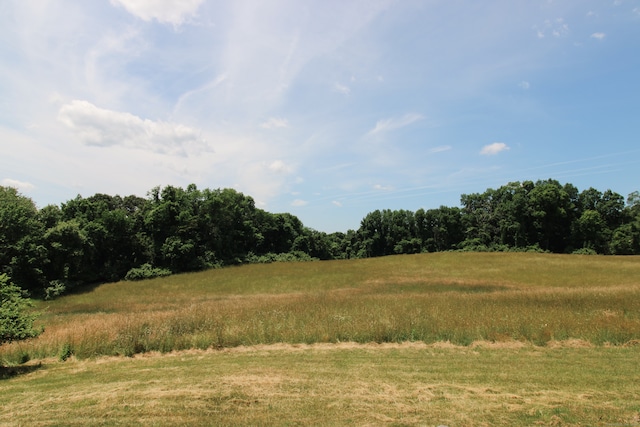 view of local wilderness