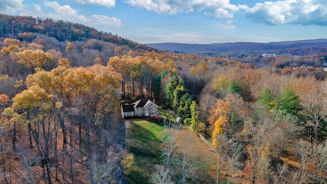 drone / aerial view featuring a mountain view