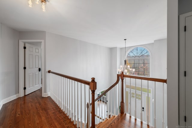 corridor featuring dark hardwood / wood-style flooring and a chandelier