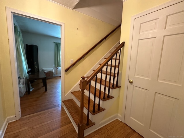 staircase featuring dark hardwood / wood-style floors