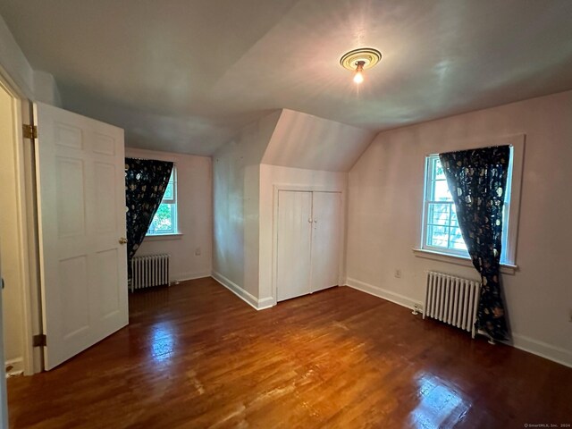 additional living space featuring radiator heating unit, lofted ceiling, hardwood / wood-style floors, and plenty of natural light