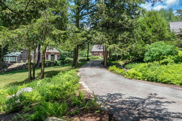 155 Joshuatown Rd, Lyme, CT 06371 - view of asphalt driveway