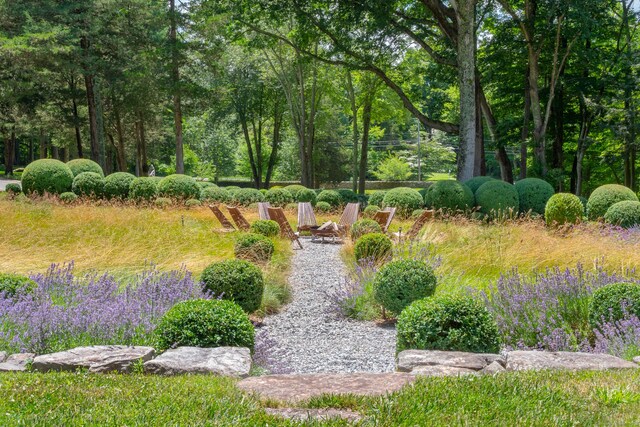 155 Joshuatown Rd, Lyme, CT 06371 - view of community