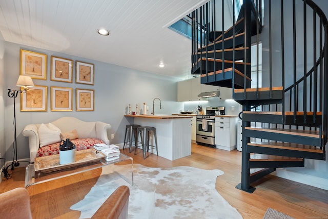 living room featuring light hardwood / wood-style floors and sink