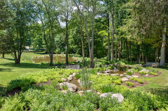 view of home's community with a yard and a water view