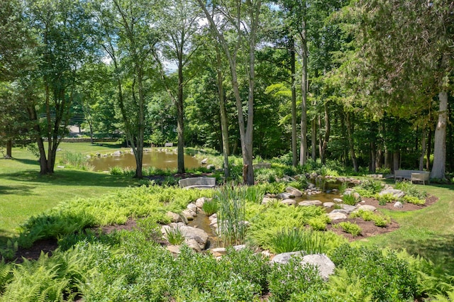 155 Joshuatown Rd, Lyme, CT 06371 - view of green lawn