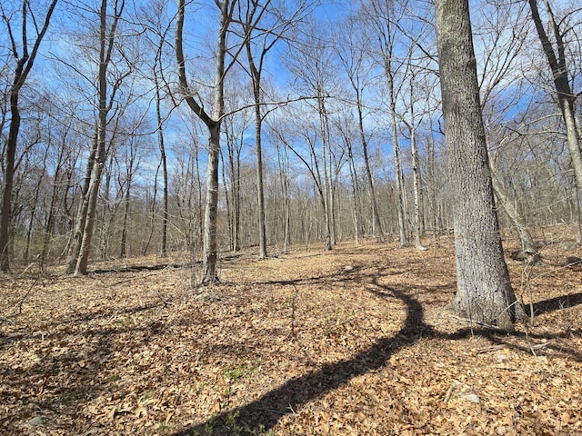 169 Scott Hill Rd, Salem, CT 06420 - view of landscape