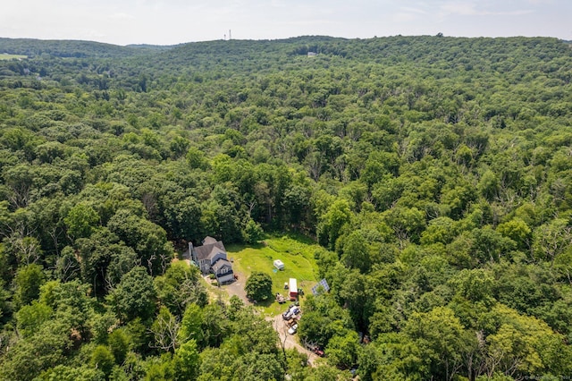 46 Nedobity Rd, Haddam, CT 06441 - bird's eye view of a heavily wooded area