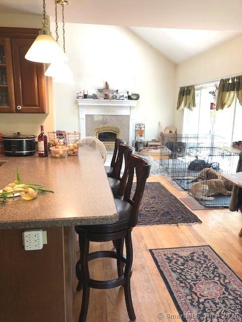 46 Nedobity Rd, Haddam, CT 06441 - dining area featuring light wood-type flooring and a glass covered fireplace
