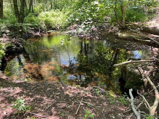 46 Nedobity Rd, Haddam, CT 06441 - water view