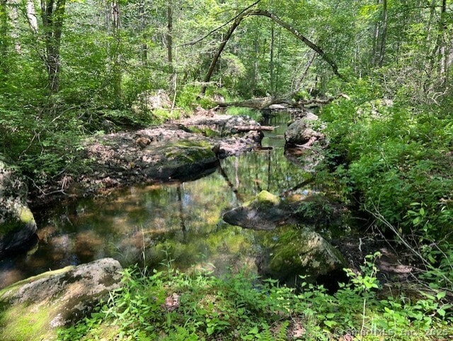 46 Nedobity Rd, Haddam, CT 06441 - view of woods