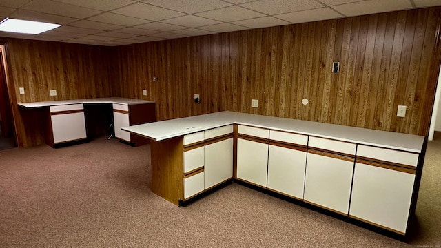 interior space with wooden walls, a paneled ceiling, and carpet floors