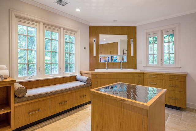 interior space with sink, multiple windows, and crown molding