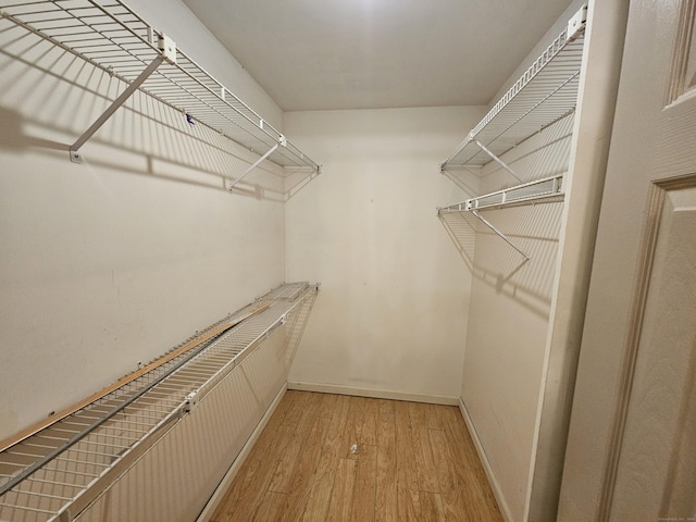 spacious closet featuring light wood-type flooring