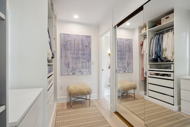 spacious closet with light wood-style floors