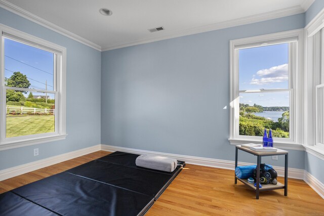 exercise room with ornamental molding and light wood-type flooring